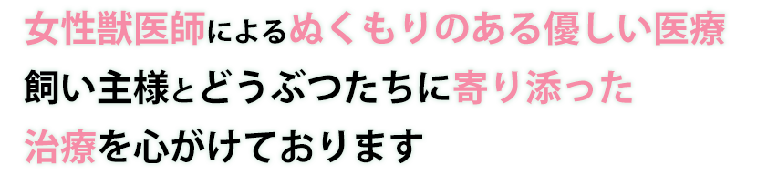 女性獣医師によるぬくもりのある優しい医療 飼い主様とワンチャンの気持ちに寄り添った治療を心がけております